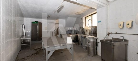 Gewerbliche Immobilie in Minde, Portugal 3033m², Nr. 251371 21