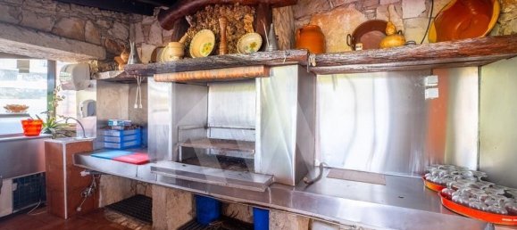 Gewerbliche Immobilie in Minde, Portugal 3033m², Nr. 251371 18