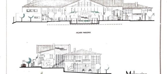 Gewerbliche Immobilie in Minde, Portugal 3033m², Nr. 251371 4
