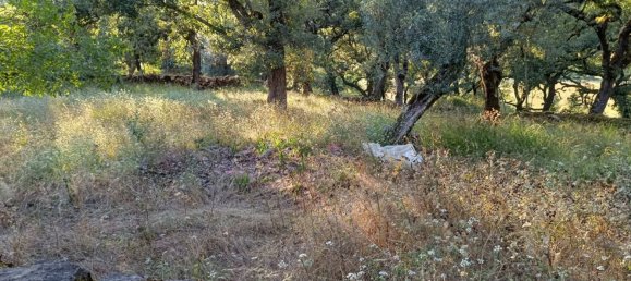 3 bedrooms House in Ansiao, Portugal No. 177129 9