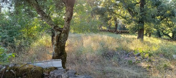 3 bedrooms House in Ansiao, Portugal No. 177129 10