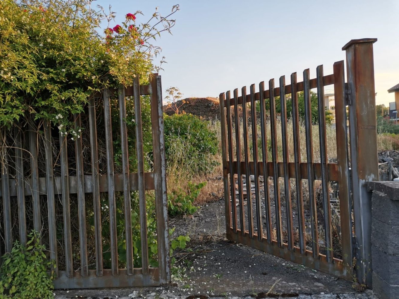 800m² Land in Randazzo, Italy No. 253788