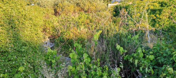 800m² Land in Randazzo, Italy No. 253788 7