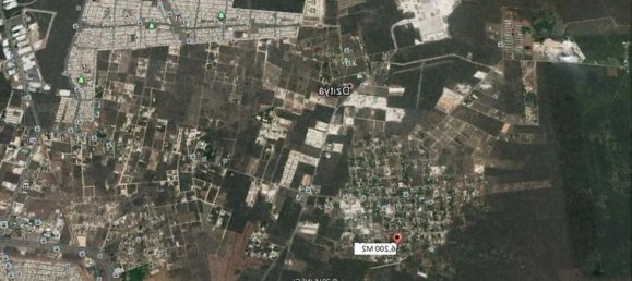 Grundstück in Merida, Mexico, Nr. 100902 2