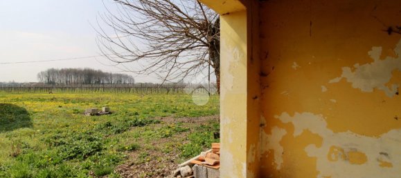 3 rooms House in Salgareda, Italy No. 136961 5