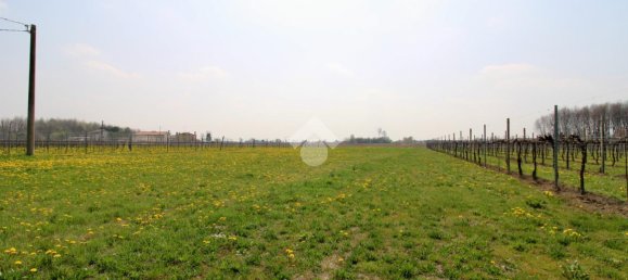 3 rooms House in Salgareda, Italy No. 136961 22