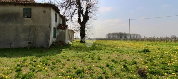 3 rooms House in Salgareda, Italy No. 136961 12
