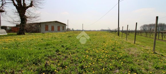 3 rooms House in Salgareda, Italy No. 136961 21