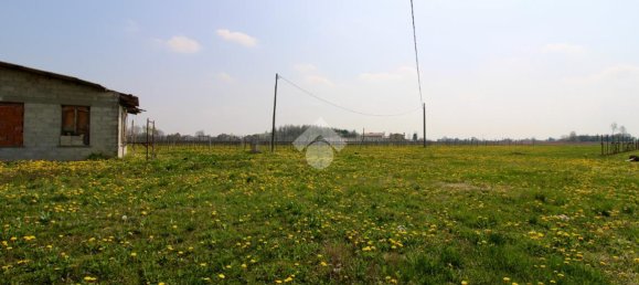 3 rooms House in Salgareda, Italy No. 136961 13