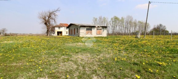 3 rooms House in Salgareda, Italy No. 136961 19