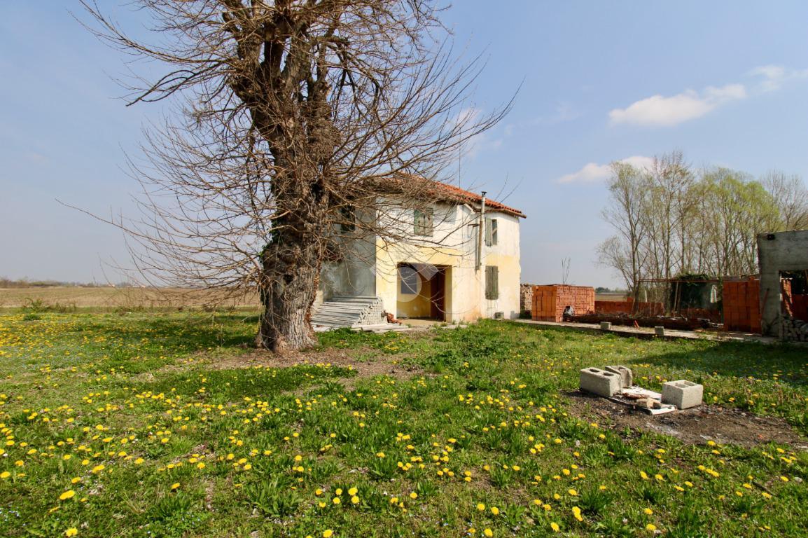 3 rooms House in Salgareda, Italy No. 136961