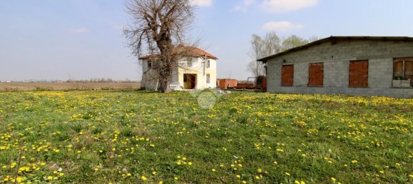 3 rooms House in Salgareda, Italy No. 136961 10