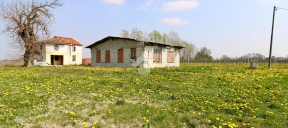 3 rooms House in Salgareda, Italy No. 136961 20