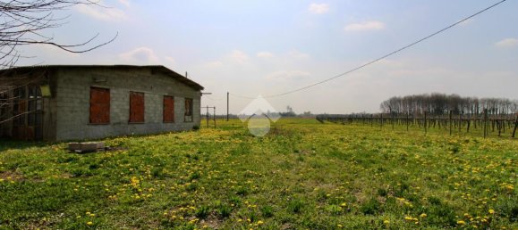 3 rooms House in Salgareda, Italy No. 136961 14