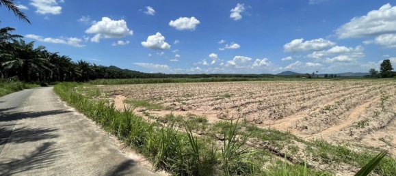 Земельный участок 48000м² в Паттайя, Таиланд № 75399 5