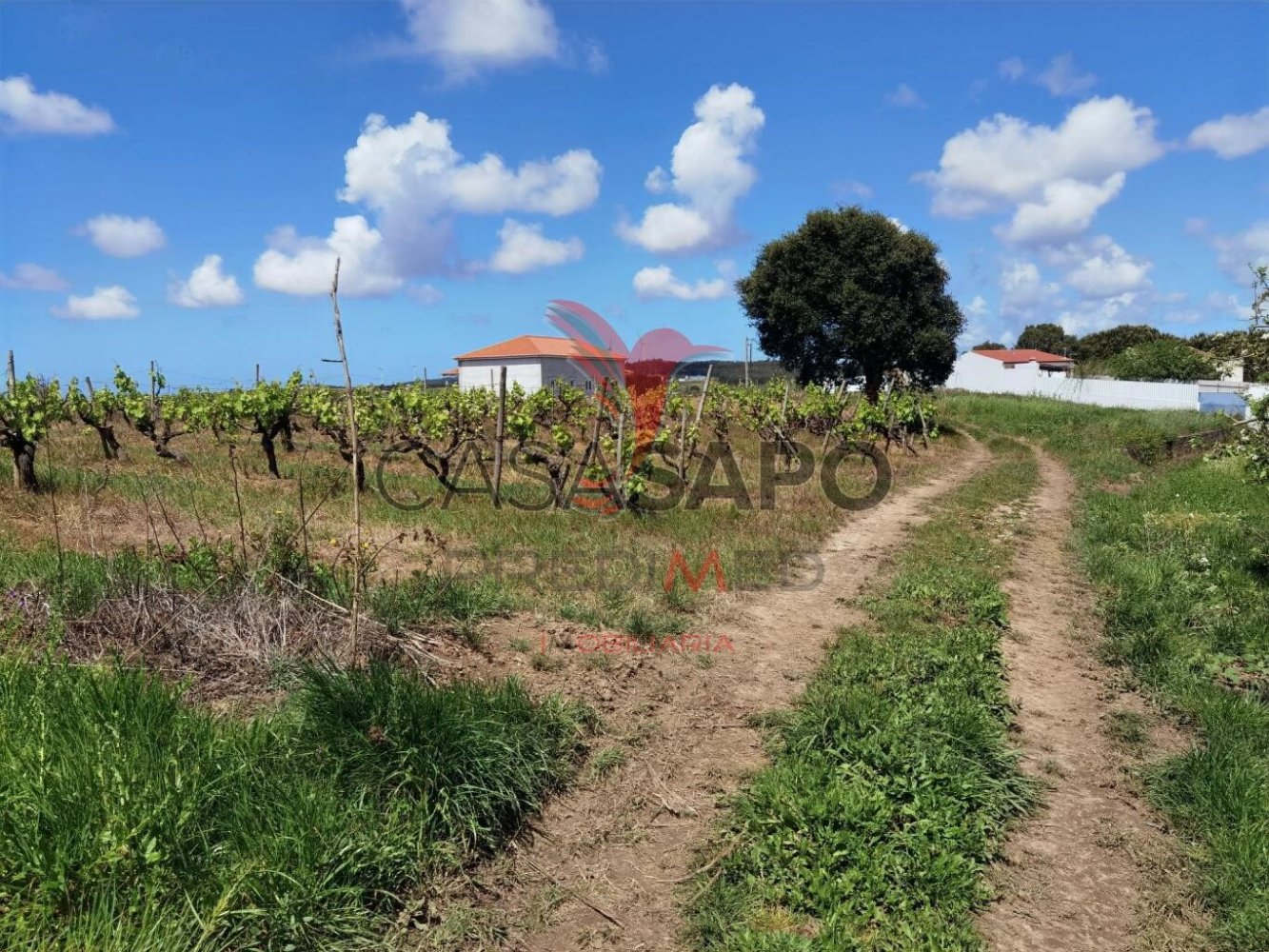  قطعة أرض في Quarteira, Portugal رقم 196019