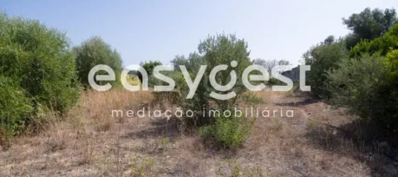 Land in Olhao, Portugal No. 43694 4