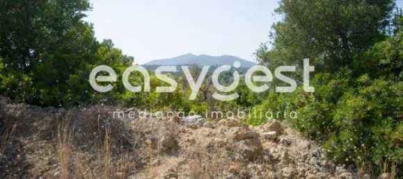 Land in Olhao, Portugal No. 43694 6