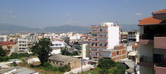 1000m² Property in Chrysoupoli, Greece No. 7679 11