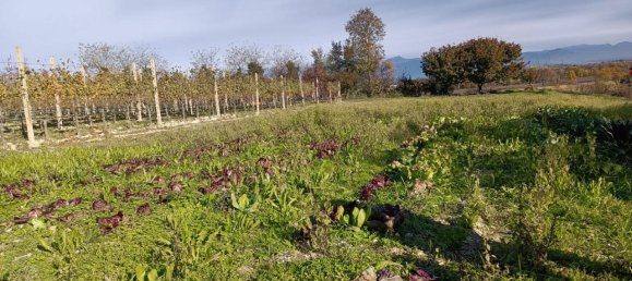 Casa de 6 habitaciónes en Desenzano del Garda, Italy No. 230600 8