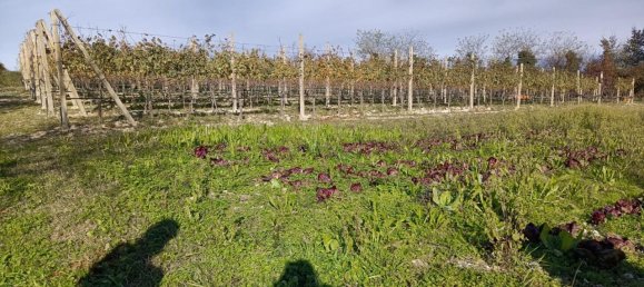 Casa de 6 habitaciónes en Desenzano del Garda, Italy No. 230600 3