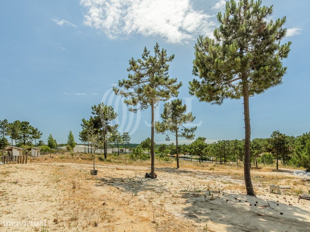 Terreno en Grandola, Portugal 5924 m² No. 64828