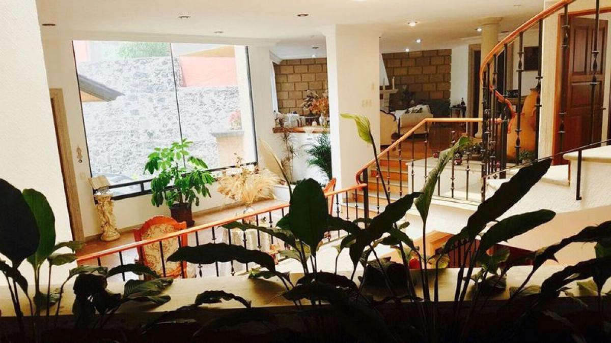 3 bedrooms House in Mexico No. 190142