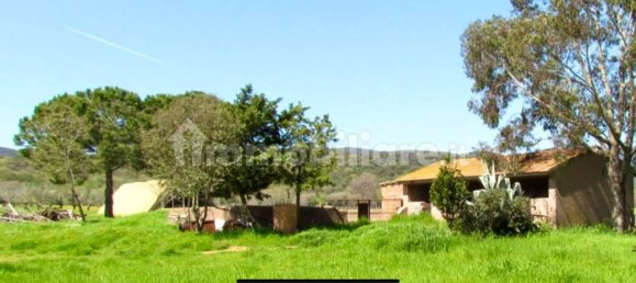 5 bedrooms House in Magliano in Toscana, Italy No. 203028 15