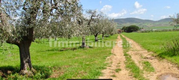 5 bedrooms House in Magliano in Toscana, Italy No. 203028 19