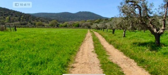 5 bedrooms House in Magliano in Toscana, Italy No. 203028 13