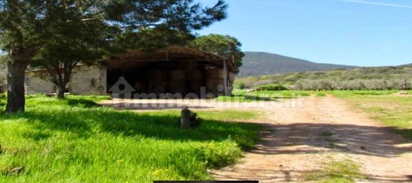 5 bedrooms House in Magliano in Toscana, Italy No. 203028 16