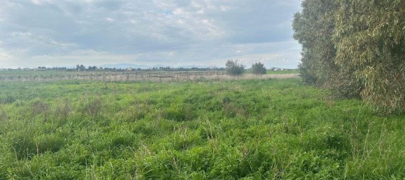 6 rooms House in Grosseto, Italy No. 208847 19