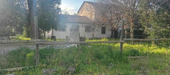 6 rooms House in Grosseto, Italy No. 208847 20