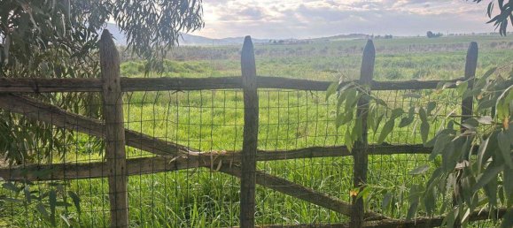 6 rooms House in Grosseto, Italy No. 208847 15