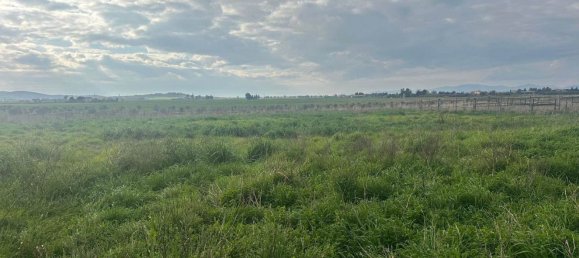 6 rooms House in Grosseto, Italy No. 208847 12