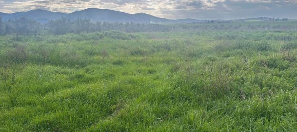 6 rooms House in Grosseto, Italy No. 208847 17