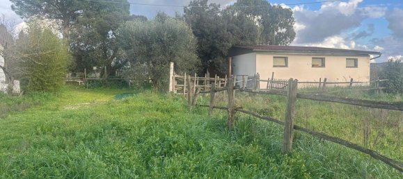 6 rooms House in Grosseto, Italy No. 208847 3