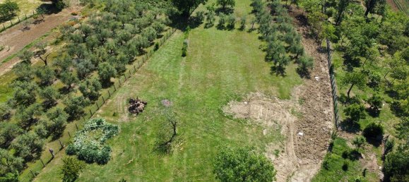 6 bedrooms Villa in Riccione, Italy No. 345869 23