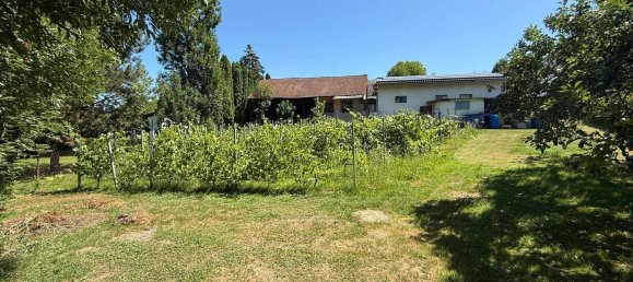 7 rooms House in Gussing, Austria No. 126228 28
