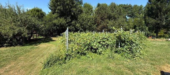 7 rooms House in Gussing, Austria No. 126228 26