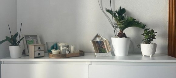 1 chambre appartement à vendre à Torrevieja, Alicante, Valencian Community, Spain № 369966 13