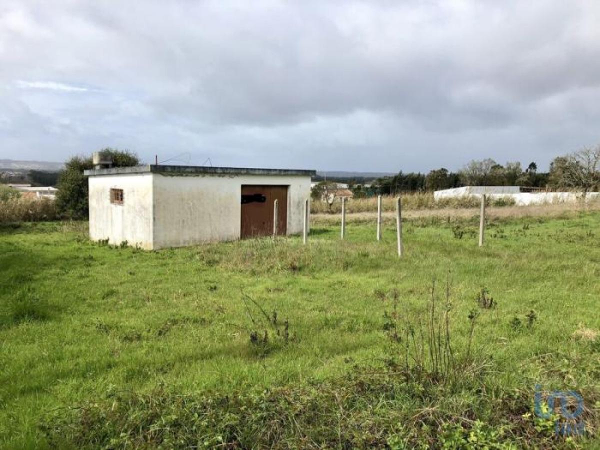  Land in Caldas da Rainha, Portugal No. 8893