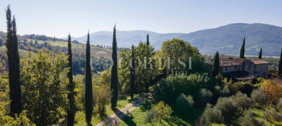 10 bedrooms Villa in Umbertide, Italy No. 267169 8
