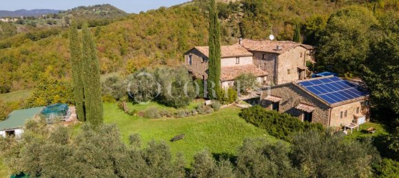 10 bedrooms Villa in Umbertide, Italy No. 267169 14