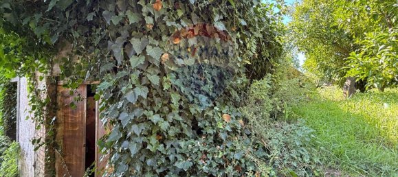 Terreno em Giarre, Italy 55324 m² N.º 266934 25