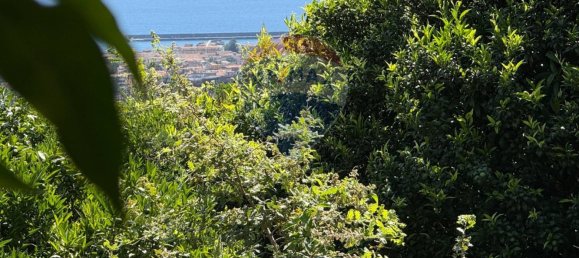 Terreno em Giarre, Italy 55324 m² N.º 266934 23