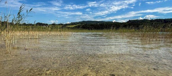 Land in Mattsee, Austria No. 219212 4