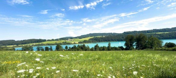 Land in Mattsee, Austria No. 219212 2