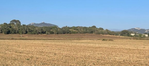  Land in Felanitx, Spain No. 162543 3