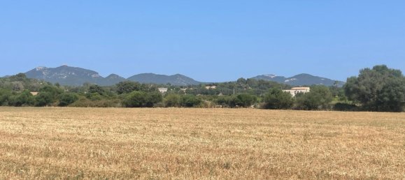 Land in Felanitx, Spain No. 162543 7